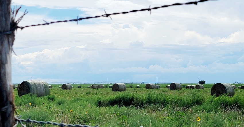 swfp-shelley-huguley-hay-clouds-fence.jpg