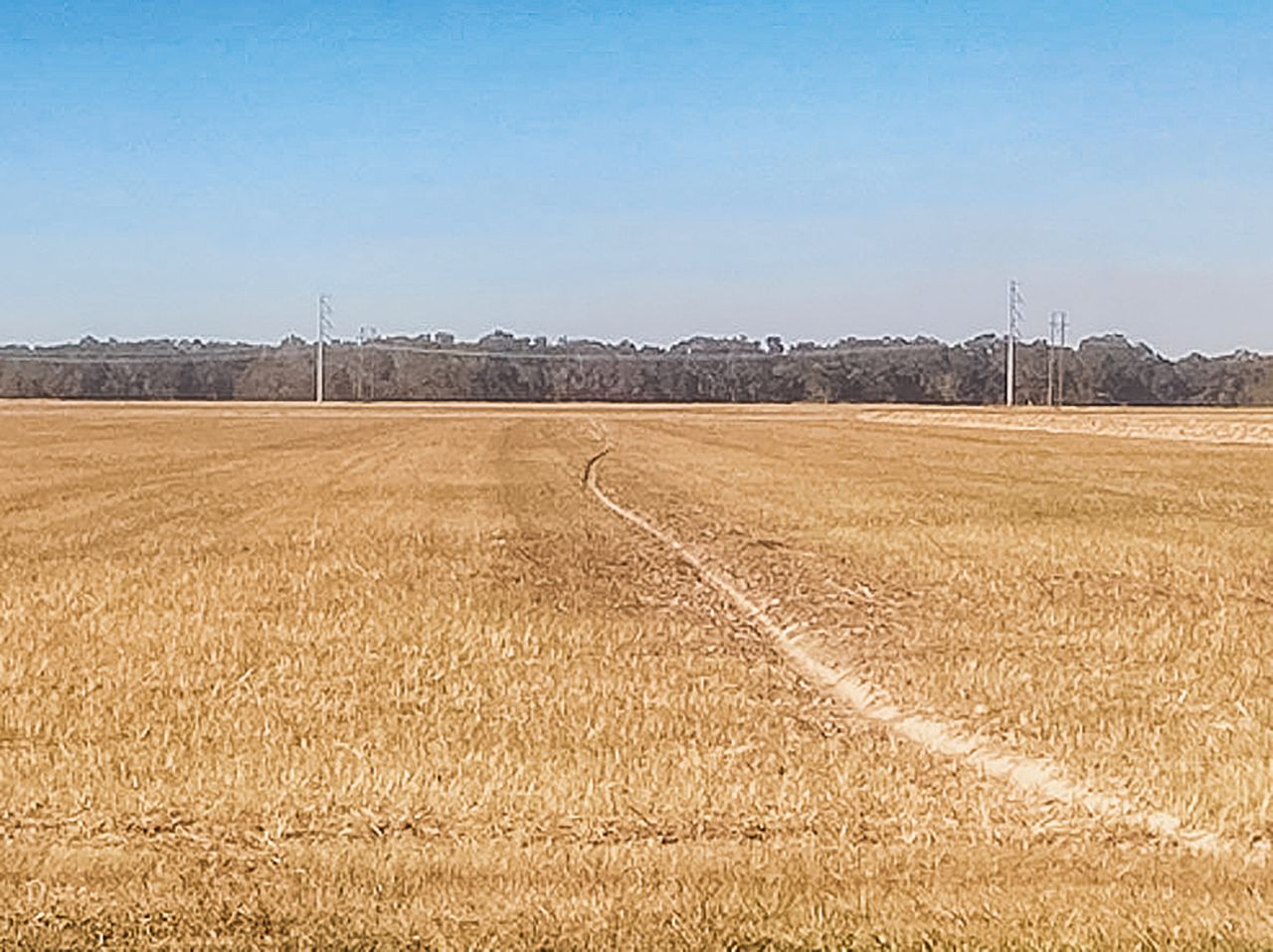Fall Field Work Fall field prep boosts early rice planting success