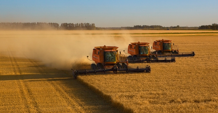 Wheat being harvested