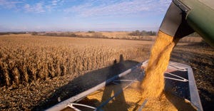 Crop-harvest-combine-spout-Richard Hamilton Smith.jpg