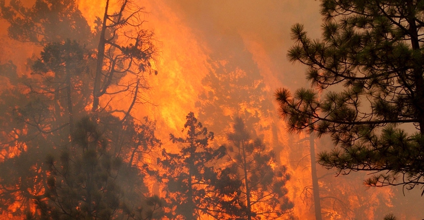 Flames rip through the Siskiyou National Forest in O'Brien, Oregon
