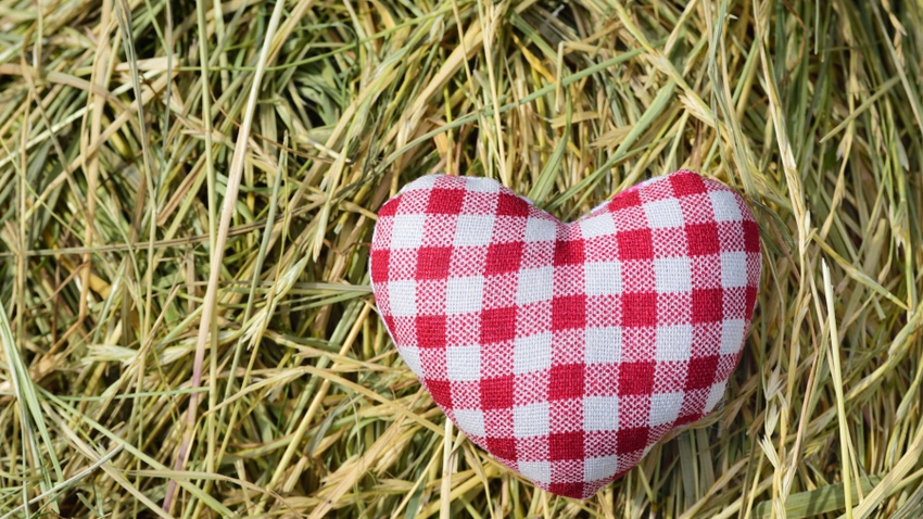 Small fabric heart on top of grass