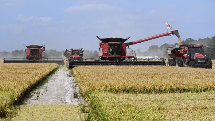 Two combines and two tractors with grain buggies harvesting a rice field.