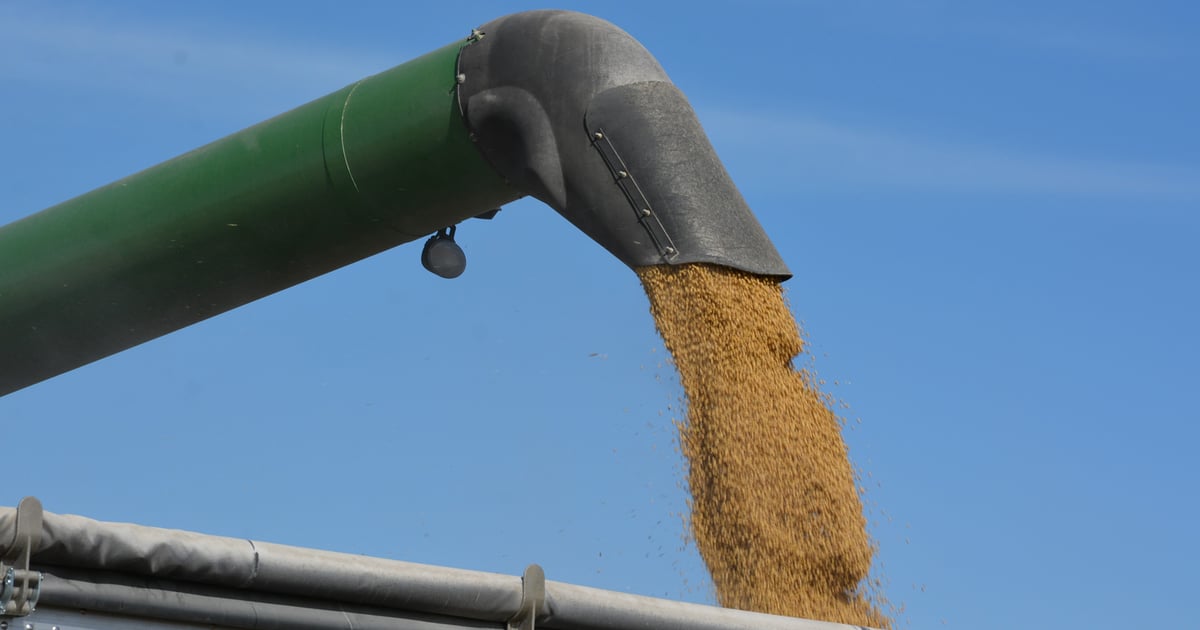 CHS plans expansion at Mankato, Minn., soybean oil processing plant