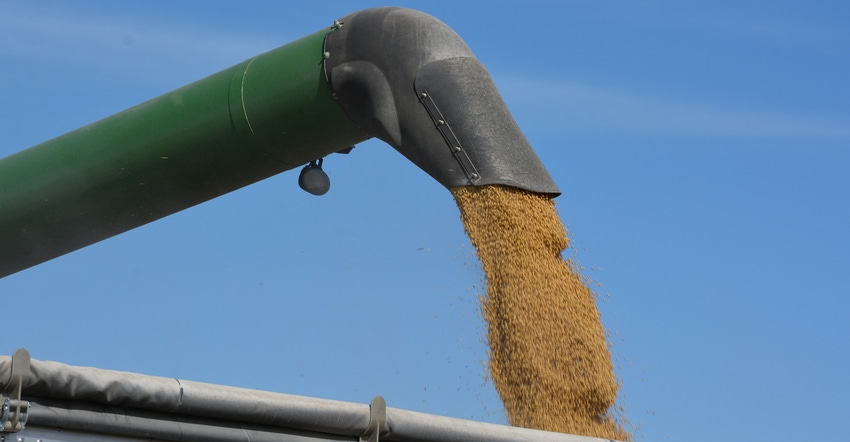 soybeans being loaded into cart