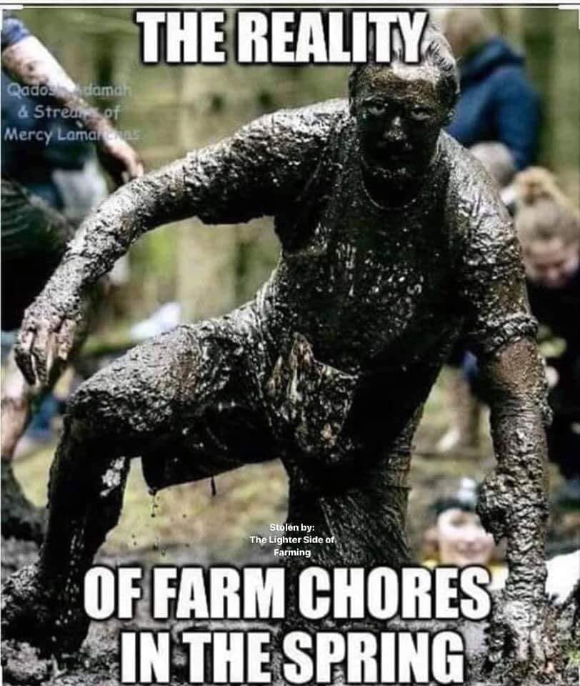 Spring Fail Memes Spring Harvest Memes Spring Has Sprung And So Have The Spring Memes