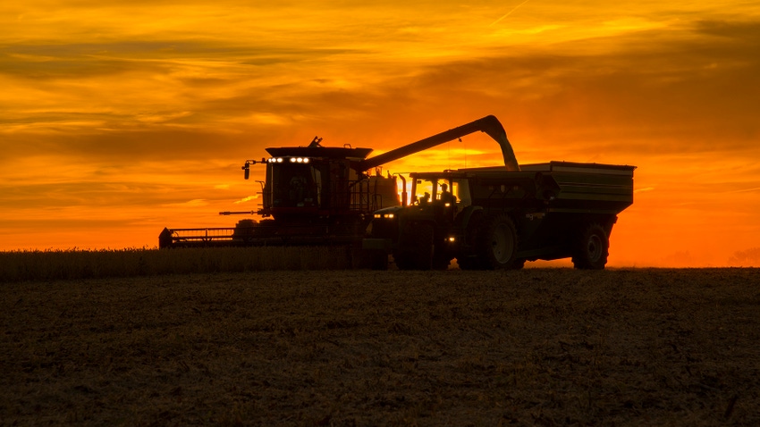 Combine harvesting with sunset in background