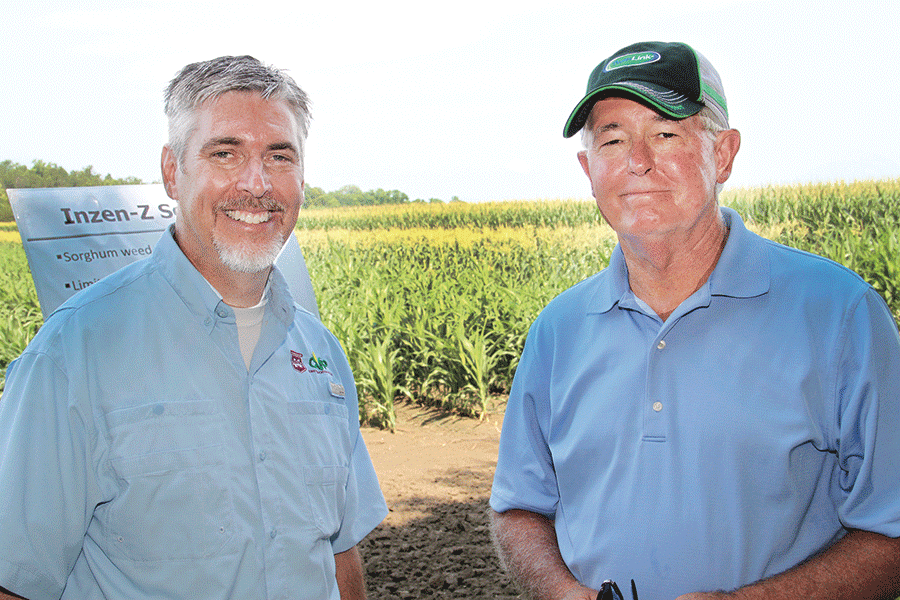 Herbicide-tolerant grain sorghum holds promise for Mississippi growers