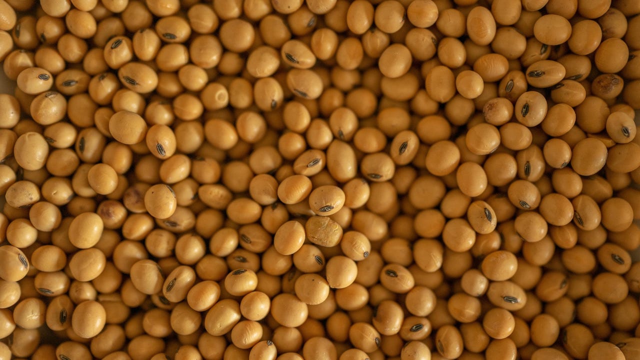 Distressed trader’s soy can feed pigs in Argentina, suitor says
