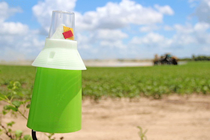 What does Transform bring to cotton insect control table? | Farm Progress