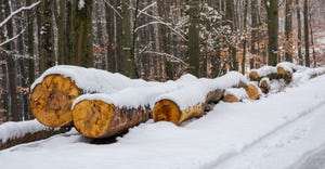 wooden logs laying by the side of a wooded road after snowfall