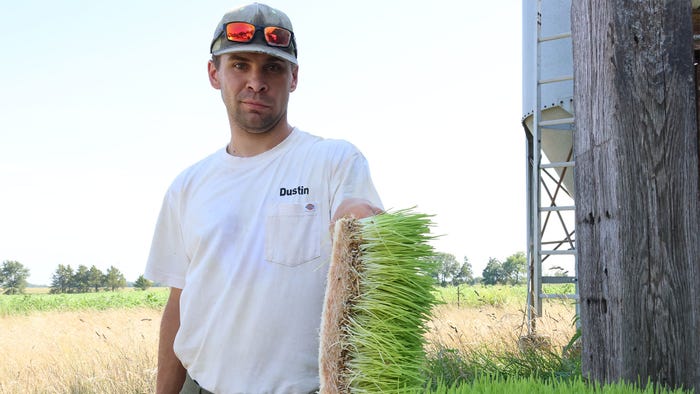 A man leaning on a raised bed of microgreens