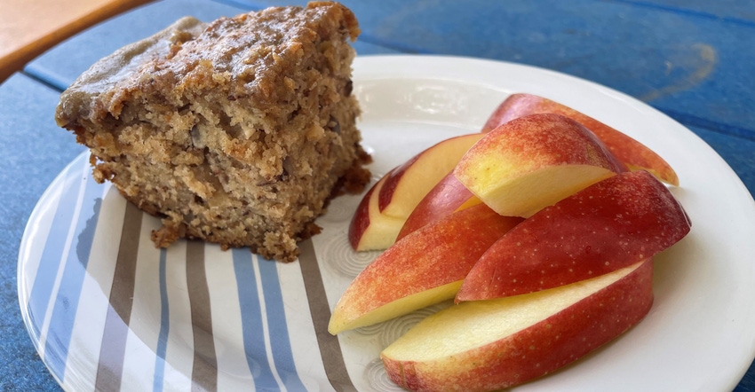 piece of apple cake next two apple slices on a plate