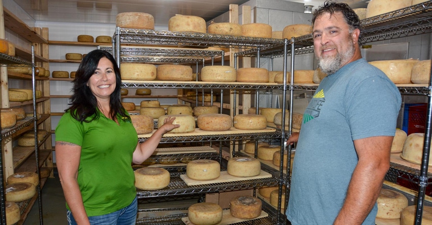 A man and a woman standing in front of metal shelves filled with wheels of cheese