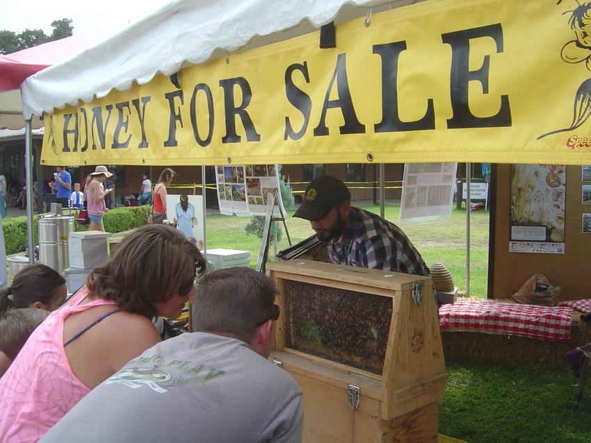 WFP-TH-honey-economy1.JPG WFP-TH-honey-economy1.JPG