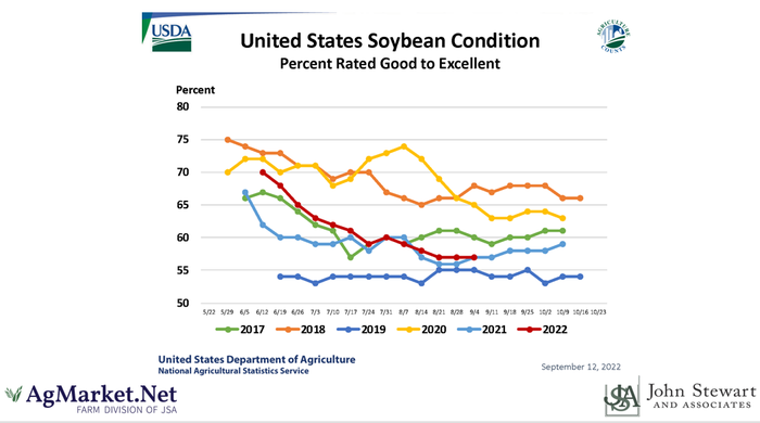 soybean conditions