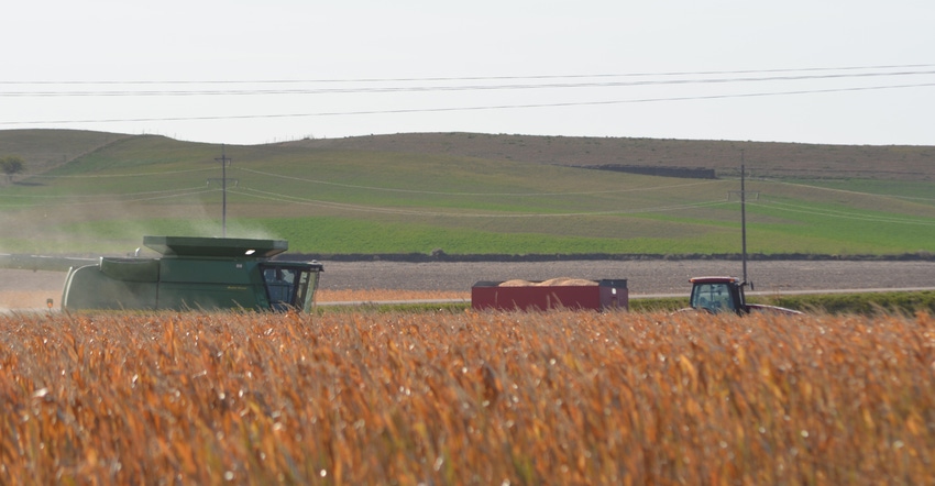 Combine in corn field