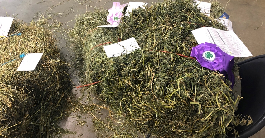 sample of hay with purple ribbon