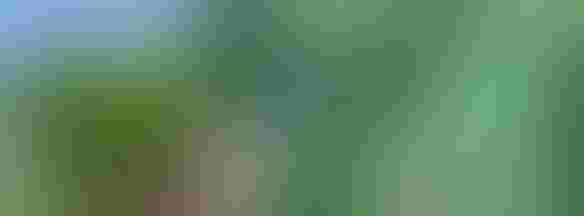 0427H2-1575C-584x216.jpg 0427H2-1575C-584x216.jpg