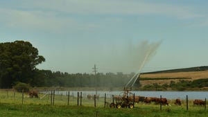 A mobile irrigation system, a dam supplying the water and some cattle in the field being sprayed
