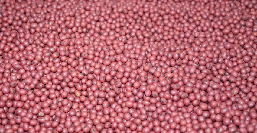 treated soybean seeds