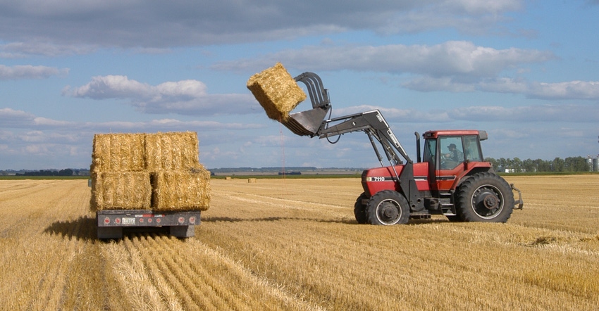 Bales of wheat straw being loaded on to a semitrailer