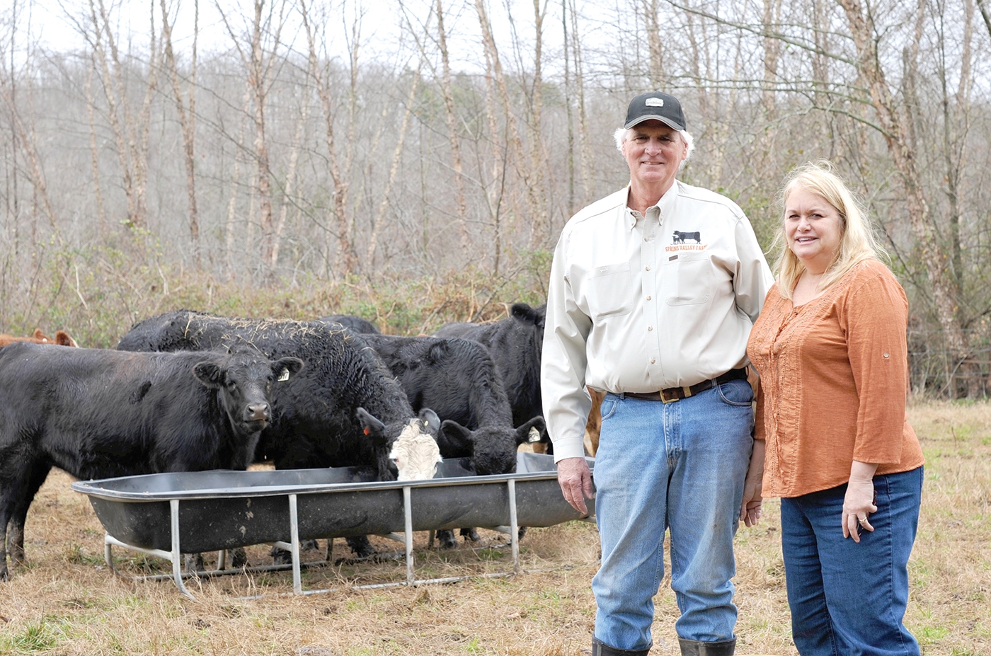 Spring Valley Family Farms gatetoplate beef