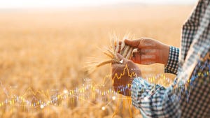 Wheat field with market chart