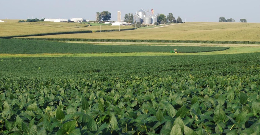 cropland with homestead in background cropland with homestead in background