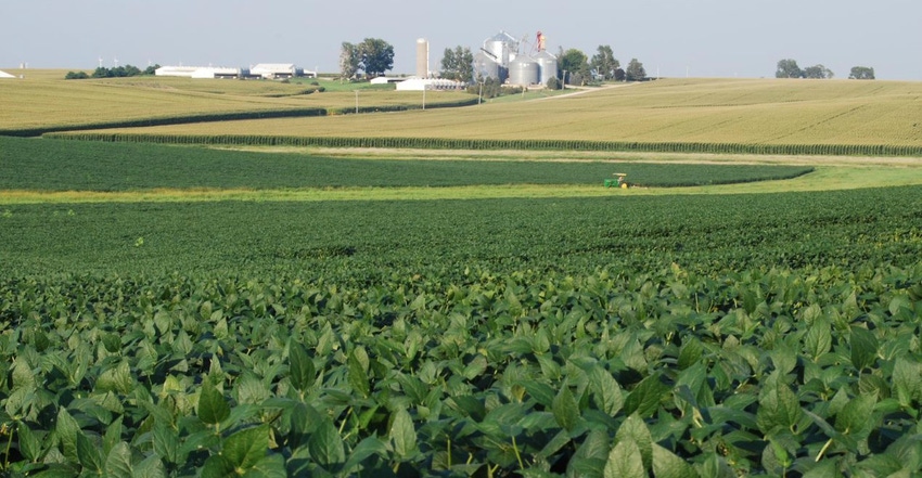 cropland with homestead in background