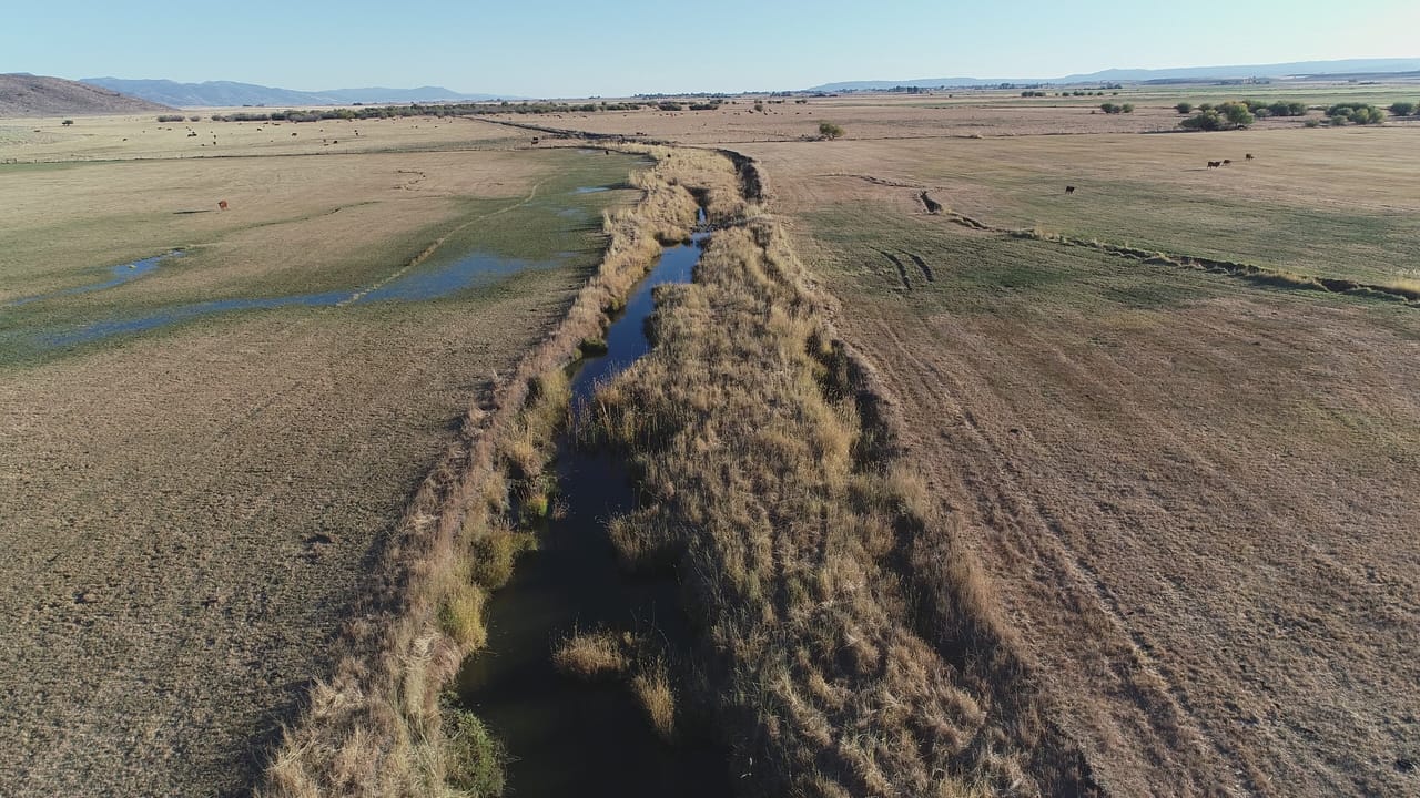 Oregon Rangelands Oregon ranch habitat project scores $1.3m grant