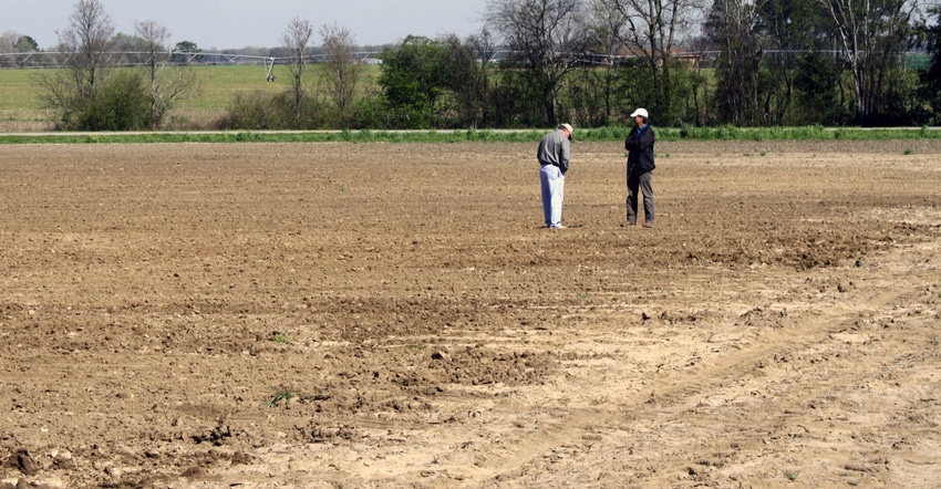 seminole-GA-corn-preplanting-2-a.jpg seminole-GA-corn-preplanting-2-a.jpg