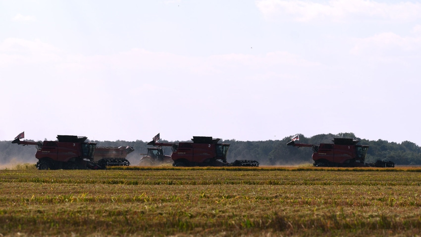 Three combines harvesting a rice field with a tractor pulling a grain cart behind them.
