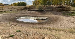 Dried-up pond on farm from lack of rain