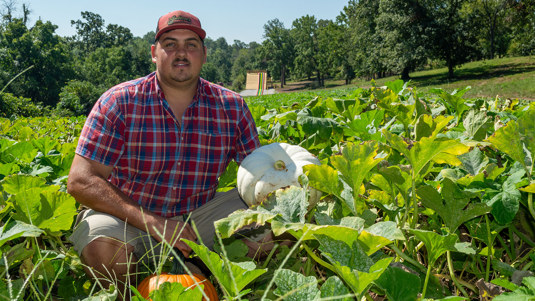 Farm Fresh Garden and Orchard Produce Labels Fruit and Veggie 