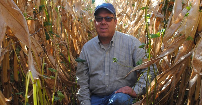 Scott Heinemann kneels in his 40-inch row corn field 