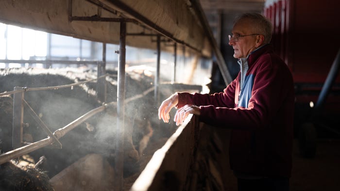 Ron Moore looks out at cattle at feed bunk