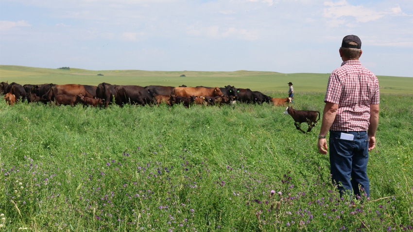 Gartner assessing land and cattle herd