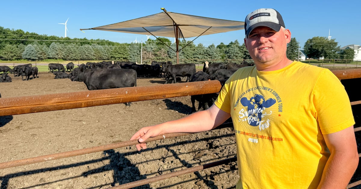Minnesota cattle operation fueled by ambition, innovation