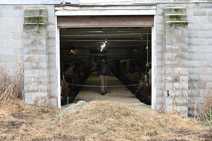 Mark Lopez in a dariy cow barn