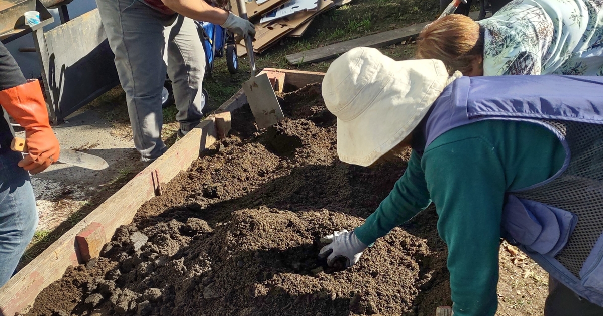 Homeless people cultivate food, better health