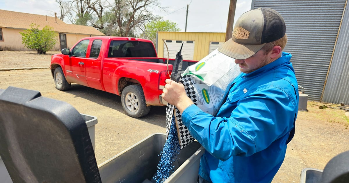 Farmers, ranchers can manage sun risks with these 4 tips