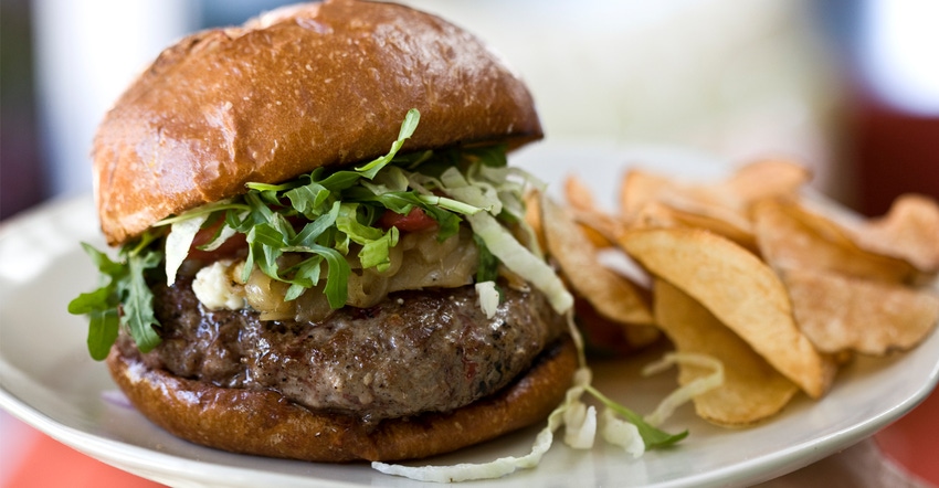 Hamburger on plate with fries