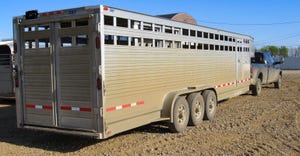  truck and trailer for cattle hauling