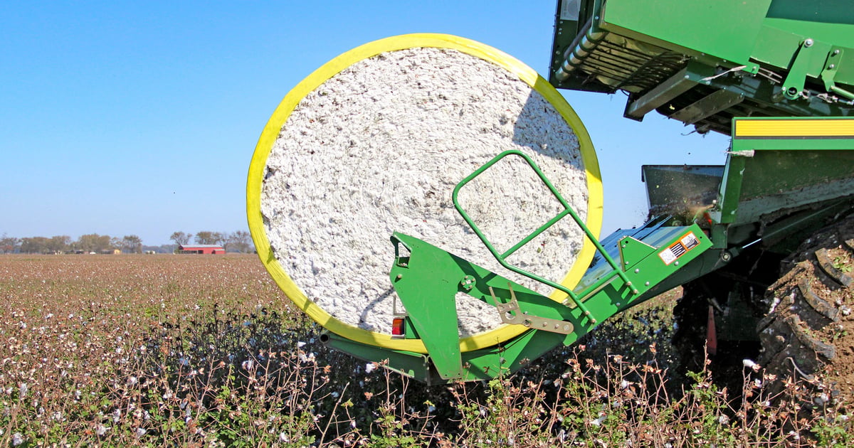 Global cotton mill use at highest level since 2017-18