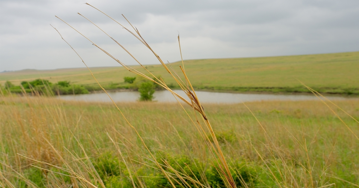 Kansas land values continue to be steady