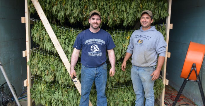 Chris and Bryan Harnish stand in front of homemade racks hanging with premium hemp buds