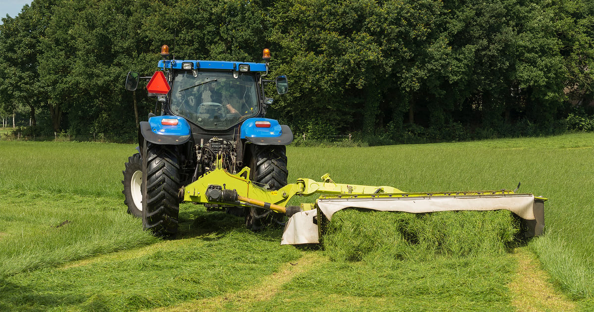 3 tips to make your hay more profitable