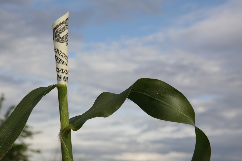7.13 farm income.jpg 7.13 farm income.jpg