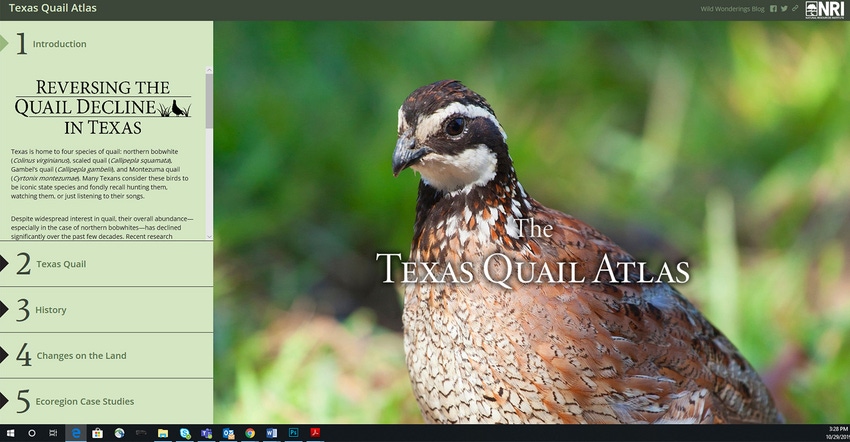 Texas-Quail-Atlas-website.jpg